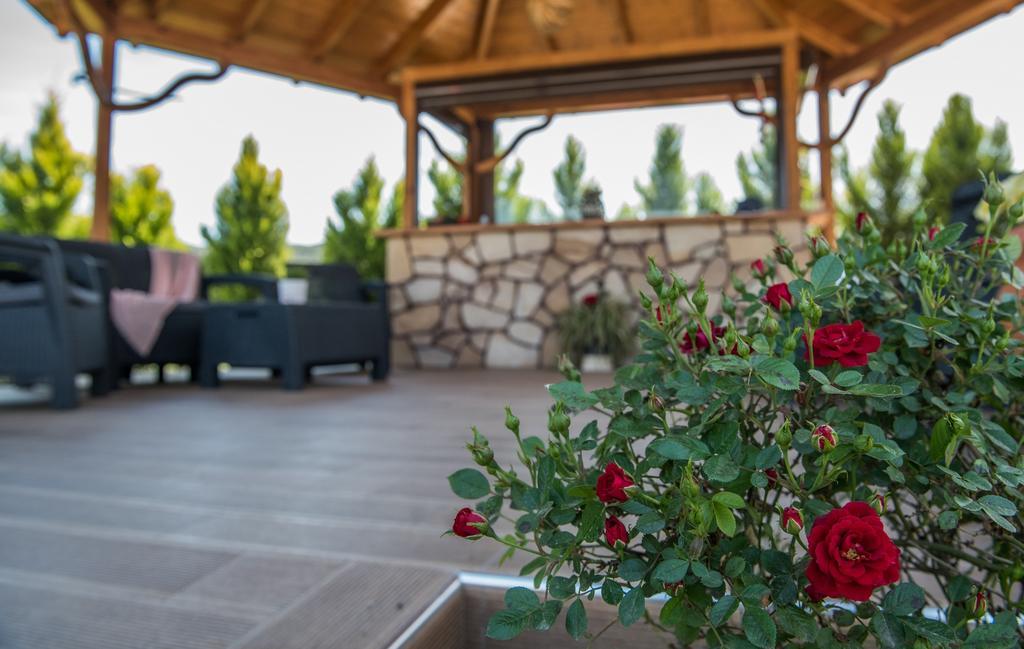 Anthemida Rooms Sykia Chalkidikis Ngoại thất bức ảnh